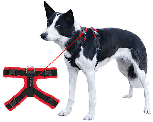 Agility dog outlet harness